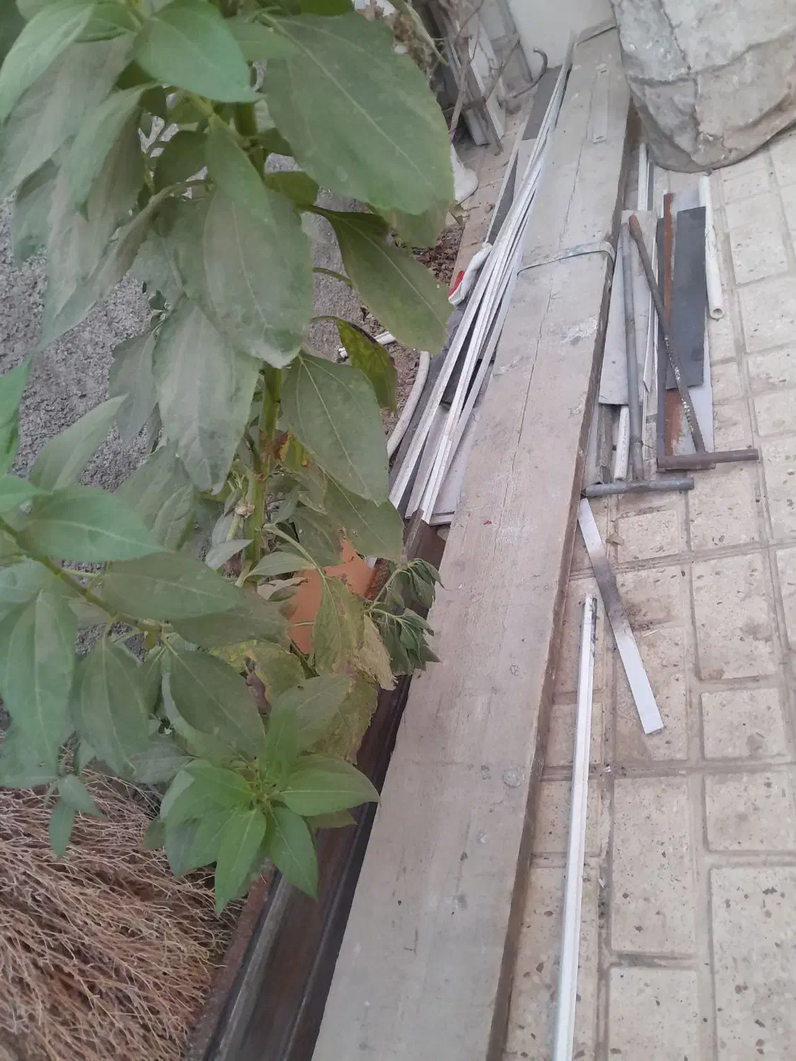 تخته گچ کاری بنایی|لوازم سرویس بهداشتی|نهاوند, |دیوار