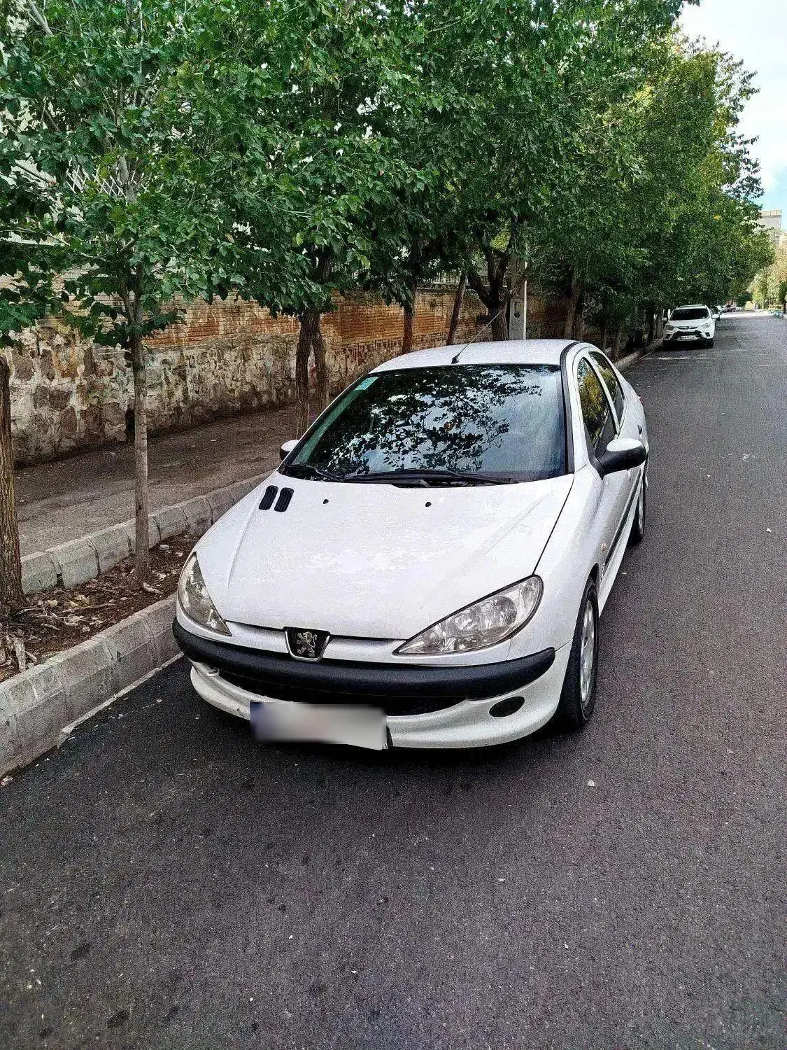 206 sd v8|خودرو سواری و وانت|تبریز, |دیوار