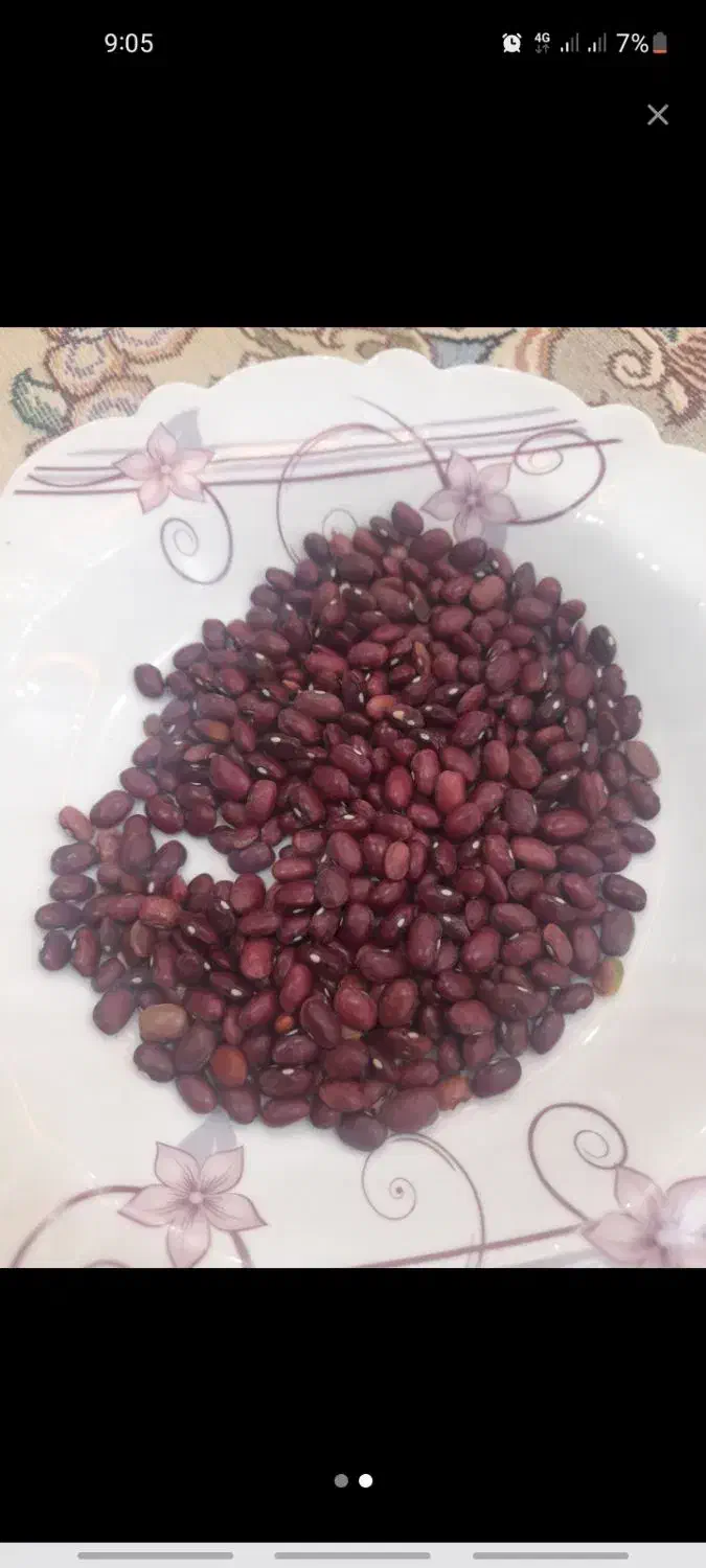 لوبیا قرمز درجه یک فروش فوری نقد|عمده‌فروشی|چادگان, |دیوار