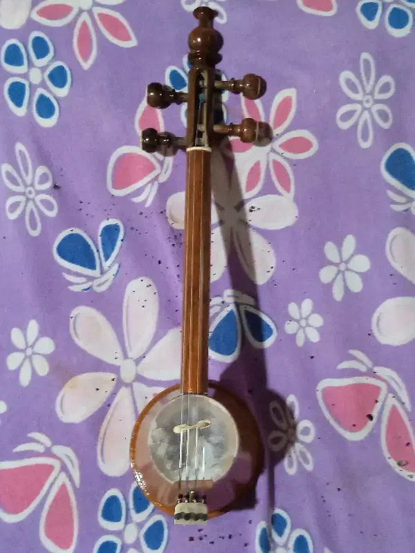 کمانچه|سازهای سنتی|خرم‌آباد, |دیوار