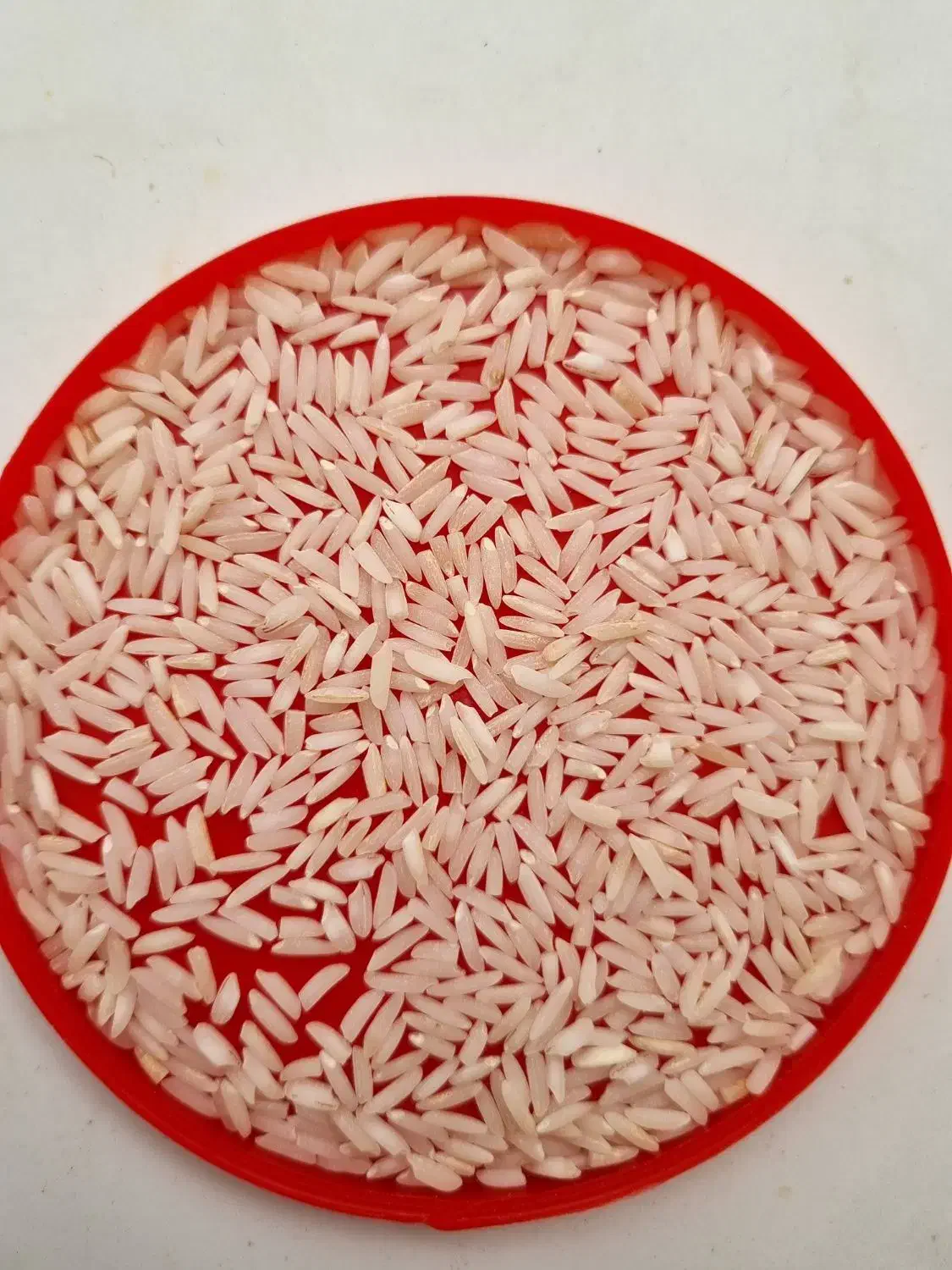 برنج هاشمی سورتینگ شده ونیم دانه بازدید شلمان|خوردنی و آشامیدنی|شلمان, |دیوار