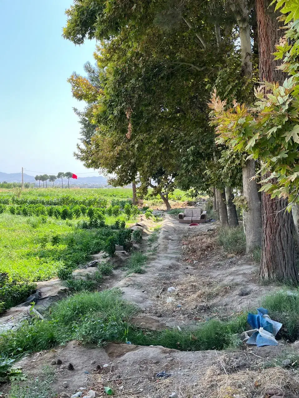 فروش زمین های چهاردیواری|فروش زمین و ملک کلنگی|رباطکریم, منجیل آباد|دیوار