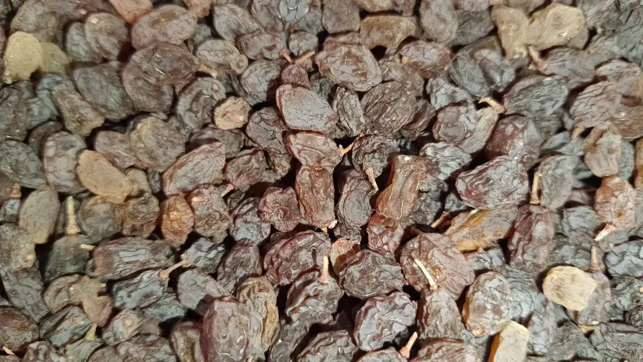 کشمش پلویی آفتاب خشک ومویز|خوردنی و آشامیدنی|کهریزک, |دیوار