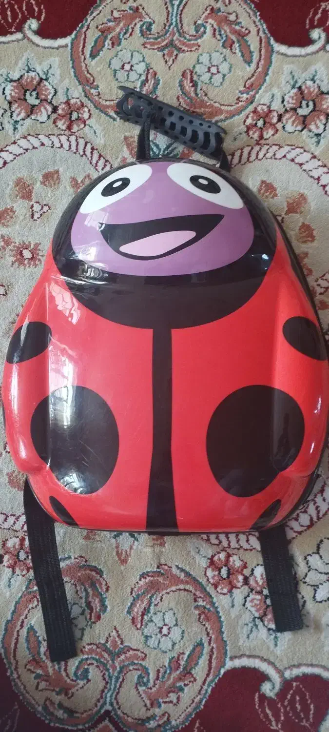 کیف کفشدوزک|کیف، کفش، کمربند|مراغه, |دیوار