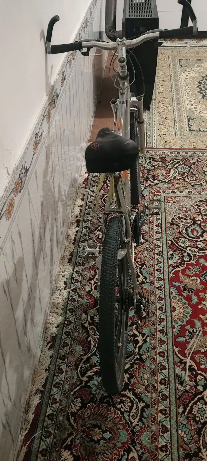 دوچرخه|دوچرخه، اسکیت، اسکوتر|سلیمان, |دیوار