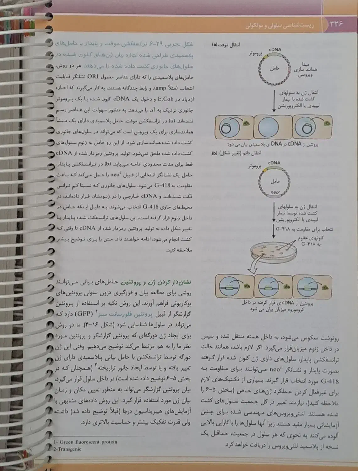 کتاب زیست شناسی سلولی و مولکولی لودیش2016|کتاب و مجله آموزشی|اصفهان, شهرک ولیعصر|دیوار