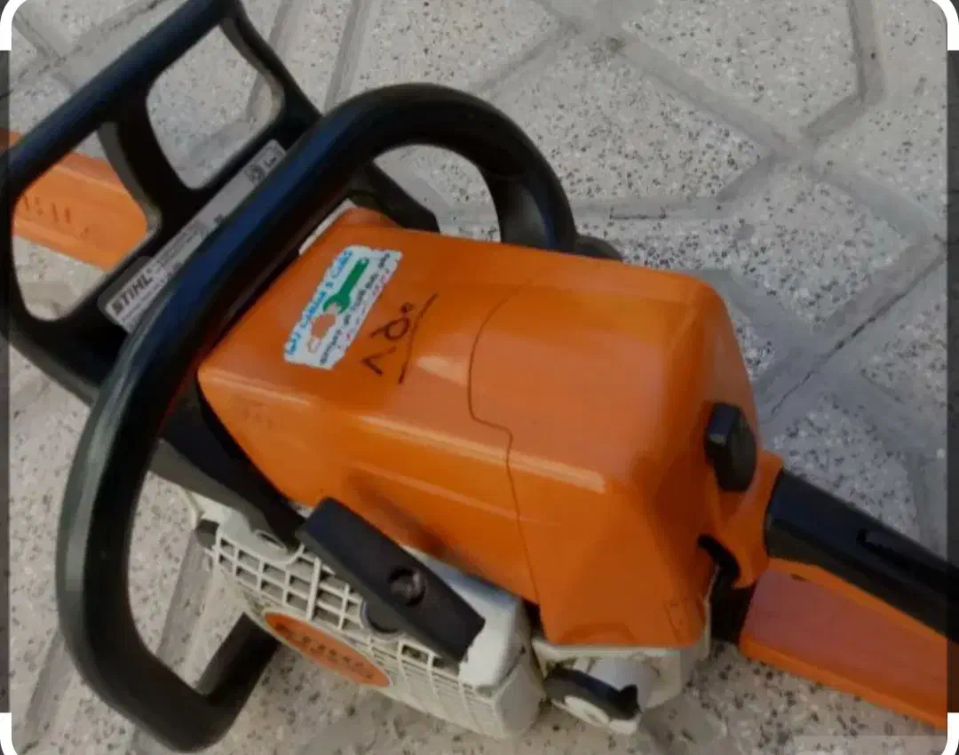 کف بری وحرص درخت باغ ومنزل|خدمات باغبانی و درختکاری|فلاورجان, |دیوار