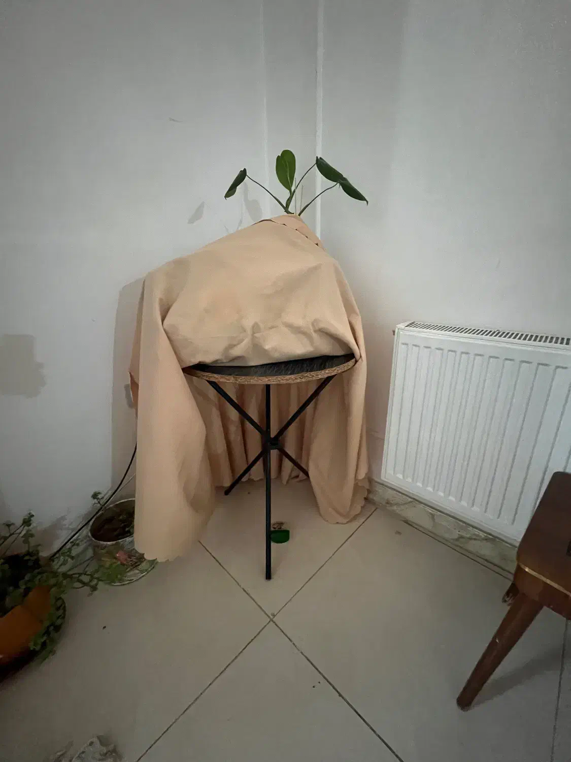 میز بلند گرد|میز و صندلی غذاخوری|زاهدان, |دیوار