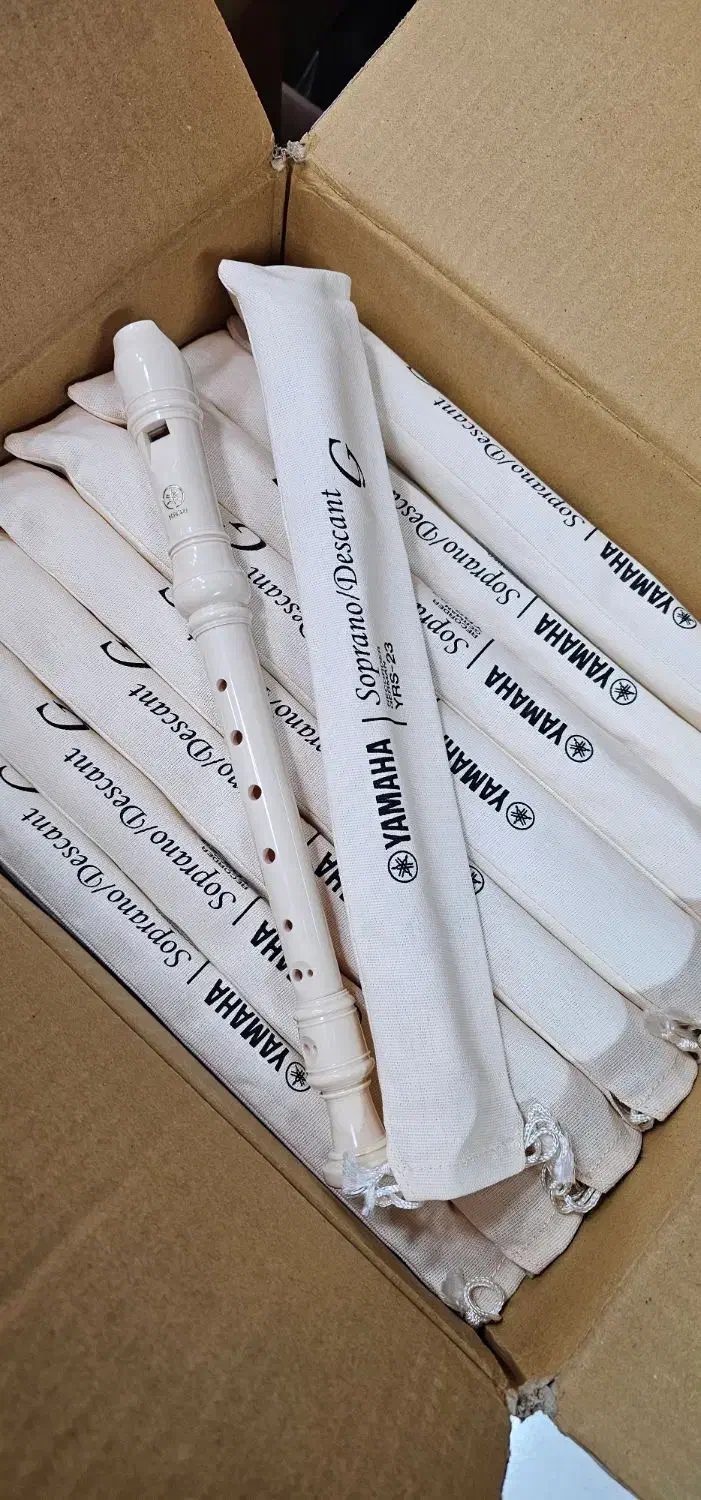 فلوت ریکوردر یاماها|سازهای بادی|محمدیه-قزوین, |دیوار