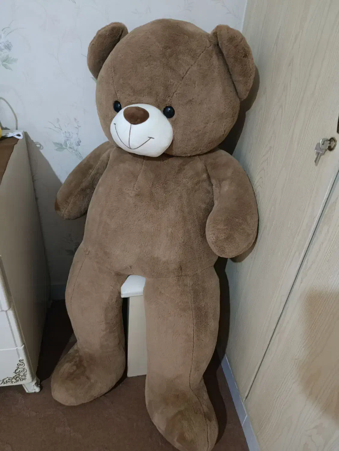 خرس بزرگ|اسباب‌بازی بچه|میانه, |دیوار