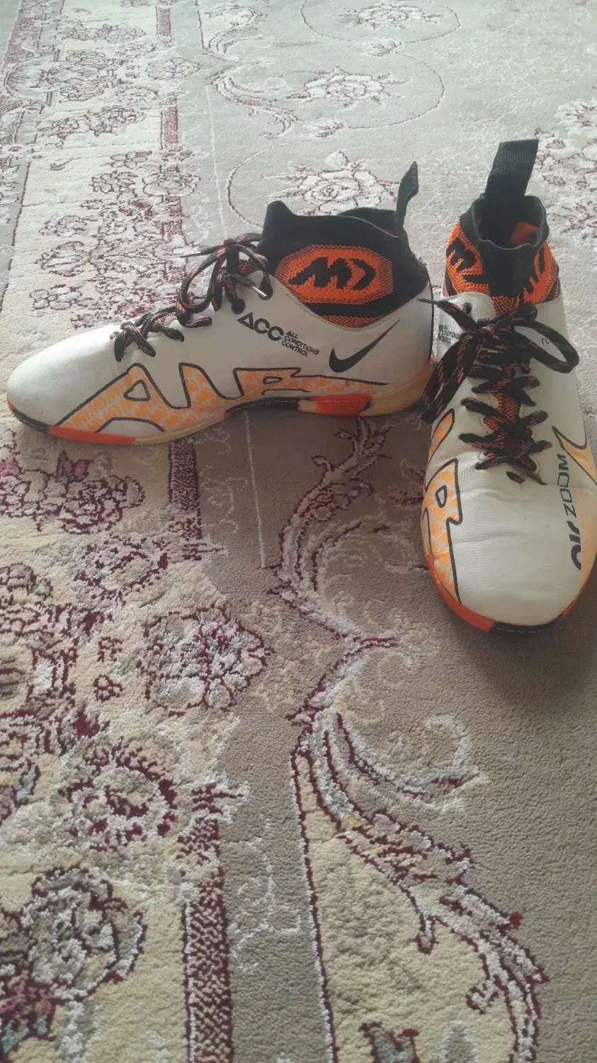 کفش سالن|کیف، کفش، کمربند|نقده, |دیوار