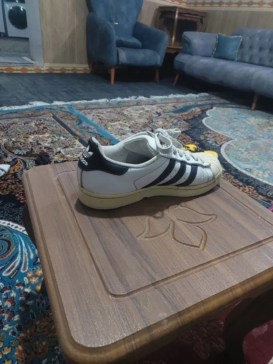 کفش|کیف، کفش، کمربند|بیرجند, |دیوار