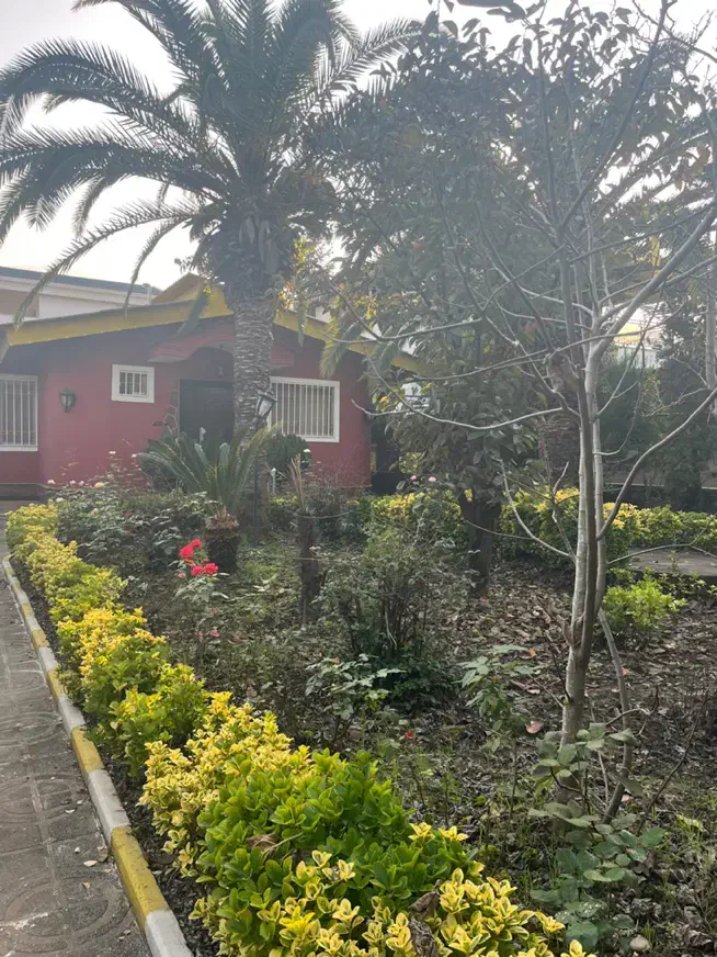 فروش ویلا باغ شهرکی ۶۰۰متری در منطقه نمک آبرود|فروش خانه و ویلا|هچیرود, |دیوار