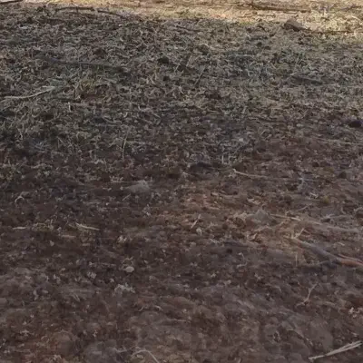 زمین کشاورزی|اجارهٔ دفتر صنعتی، کشاورزی، تجاری|آبدانان, |دیوار