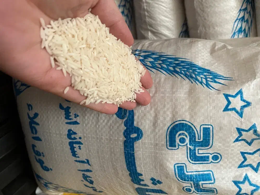 برنج سر لاشه هاشمی.و هاشمی پرمحصول درشت|خوردنی و آشامیدنی|الوند, |دیوار