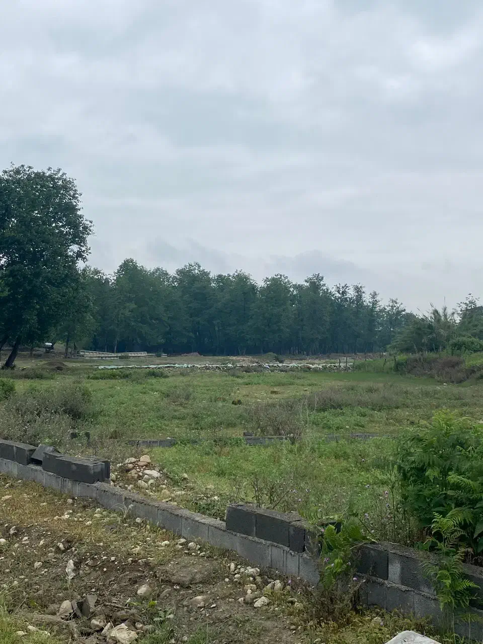 185متر زمین سند دار در منطقه ای دنج|فروش زمین و ملک کلنگی|بابکان, |دیوار