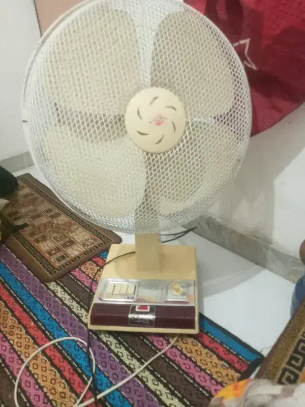 دوعددپنکه پایه کوتاه وبلند بدون عیب کم کارکرده|پنکه و تصفیهکنندهٔ هوا|رشت, رودباری|دیوار