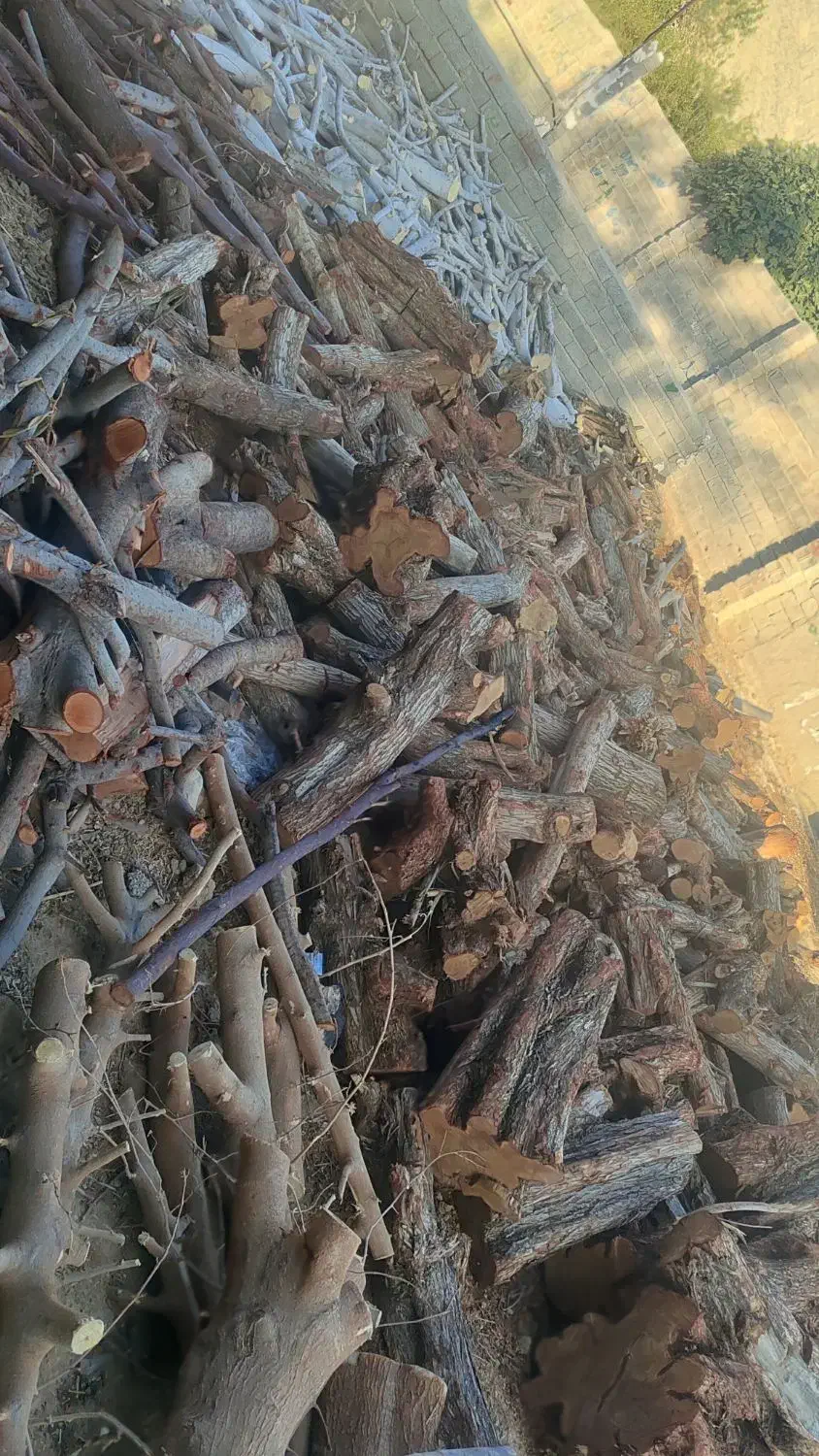 برش و حرص چوب|خدمات باغبانی و درختکاری|بوشهر, |دیوار