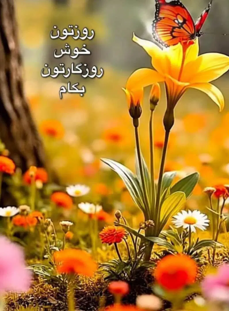 0912.922.4419|سیم‌کارت|تهران, آرژانتین|دیوار