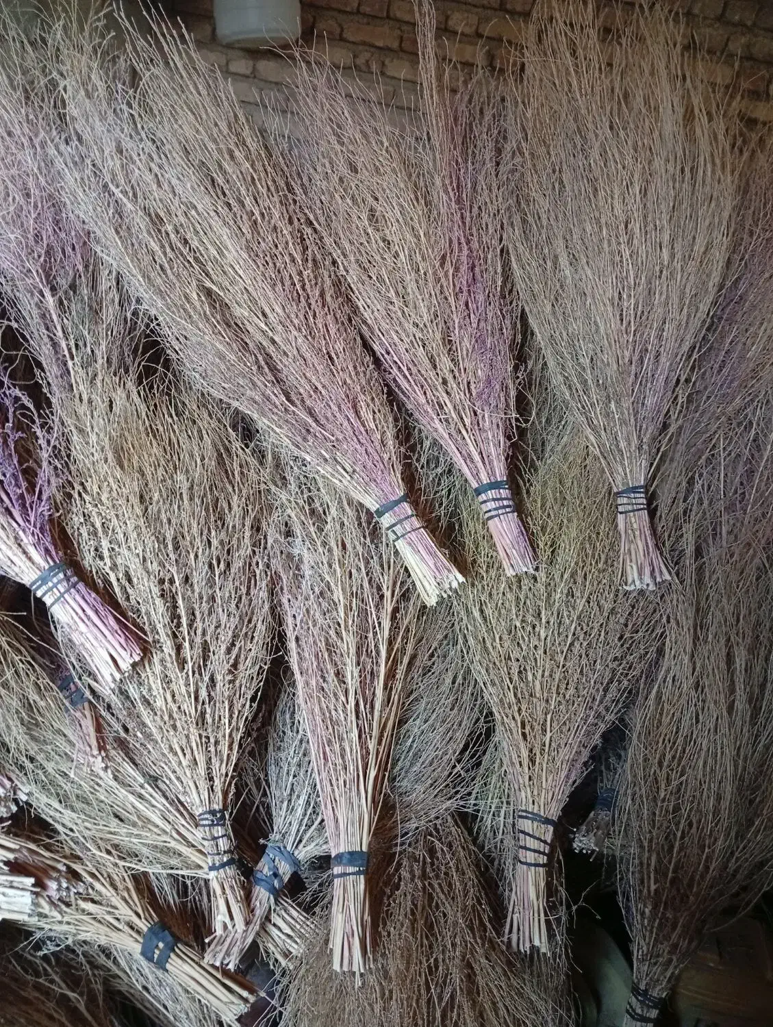 جارو|لوازم نظافت|سنقر, |دیوار