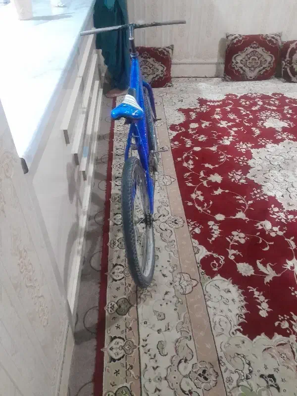 دوچرخه 24معاوضه|دوچرخه، اسکیت، اسکوتر|زاهدان, |دیوار