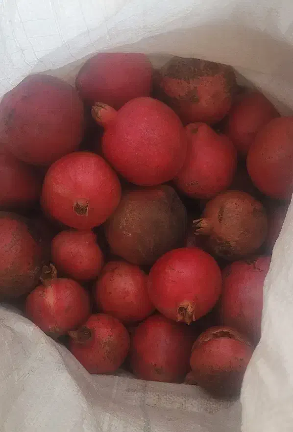 رب انار خالص وملس محصول باغ خودمون|خوردنی و آشامیدنی|رشت, چله خانه|دیوار