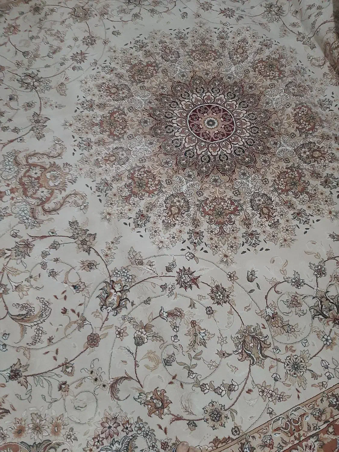 یک تخته فروش ۱۲ متری میرنوس|فرش|کرج, حیدرآباد|دیوار