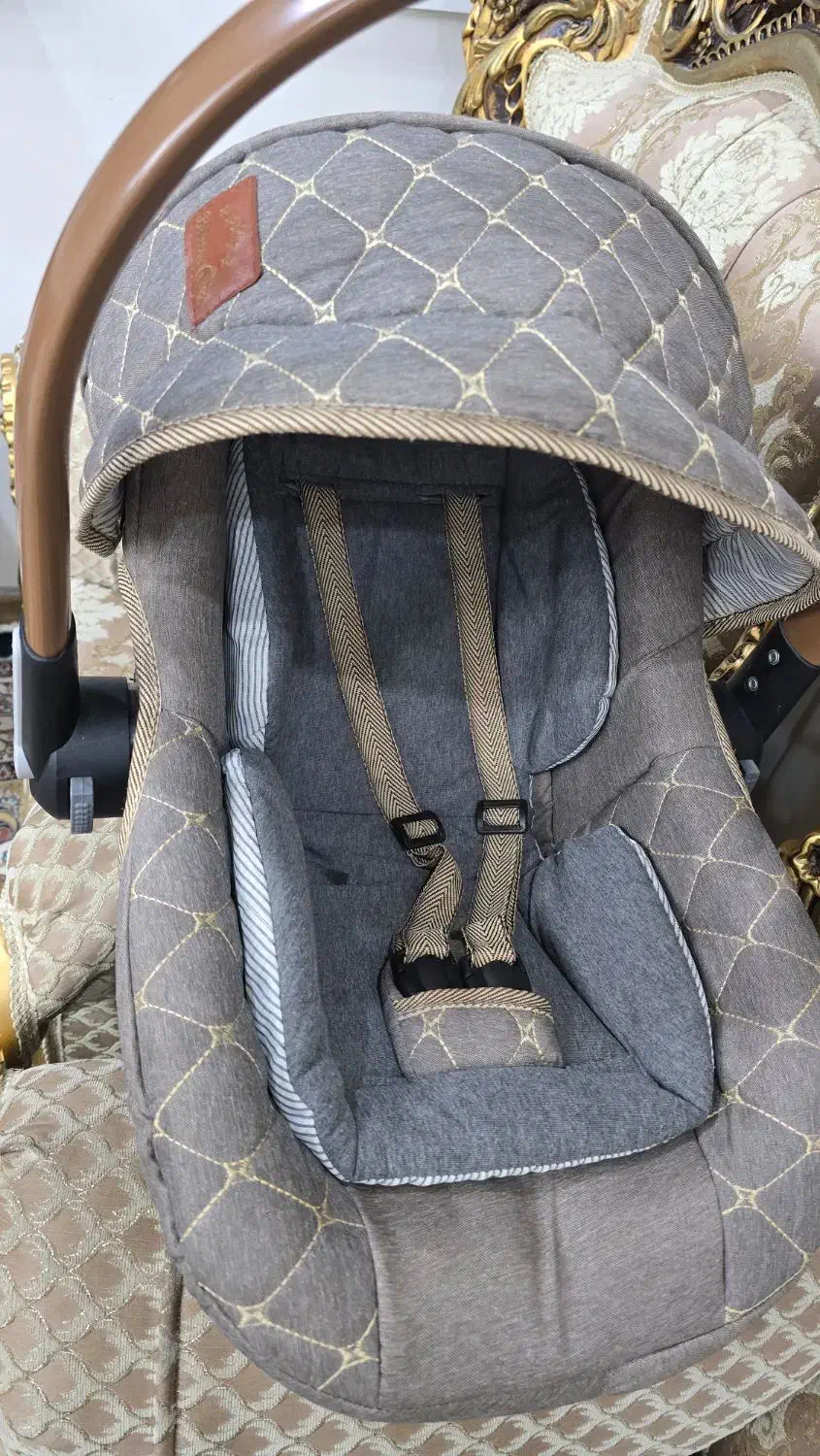 کریرنوتمیز|کالسکه و لوازم جانبی|برازجان, |دیوار