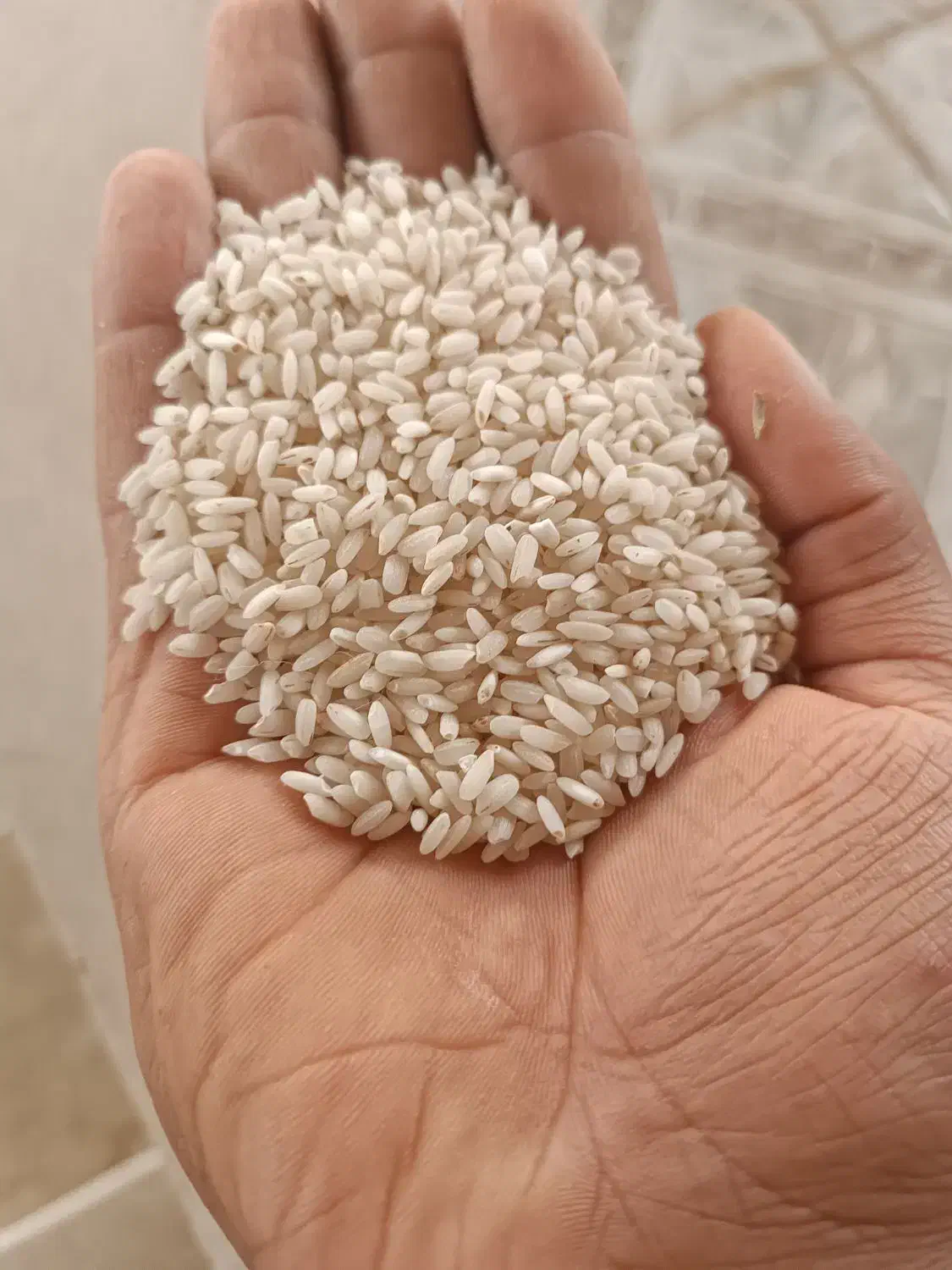 برنج عنبر بو|خوردنی و آشامیدنی|دزفول, |دیوار