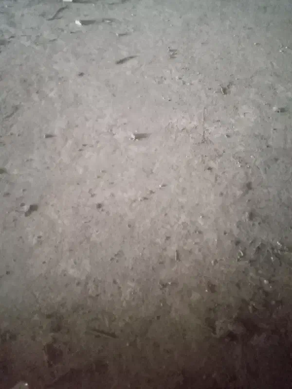 نظافت راه پله و پارکینگ و سوئیت|خدمات نظافت|گنبد کاووس, |دیوار