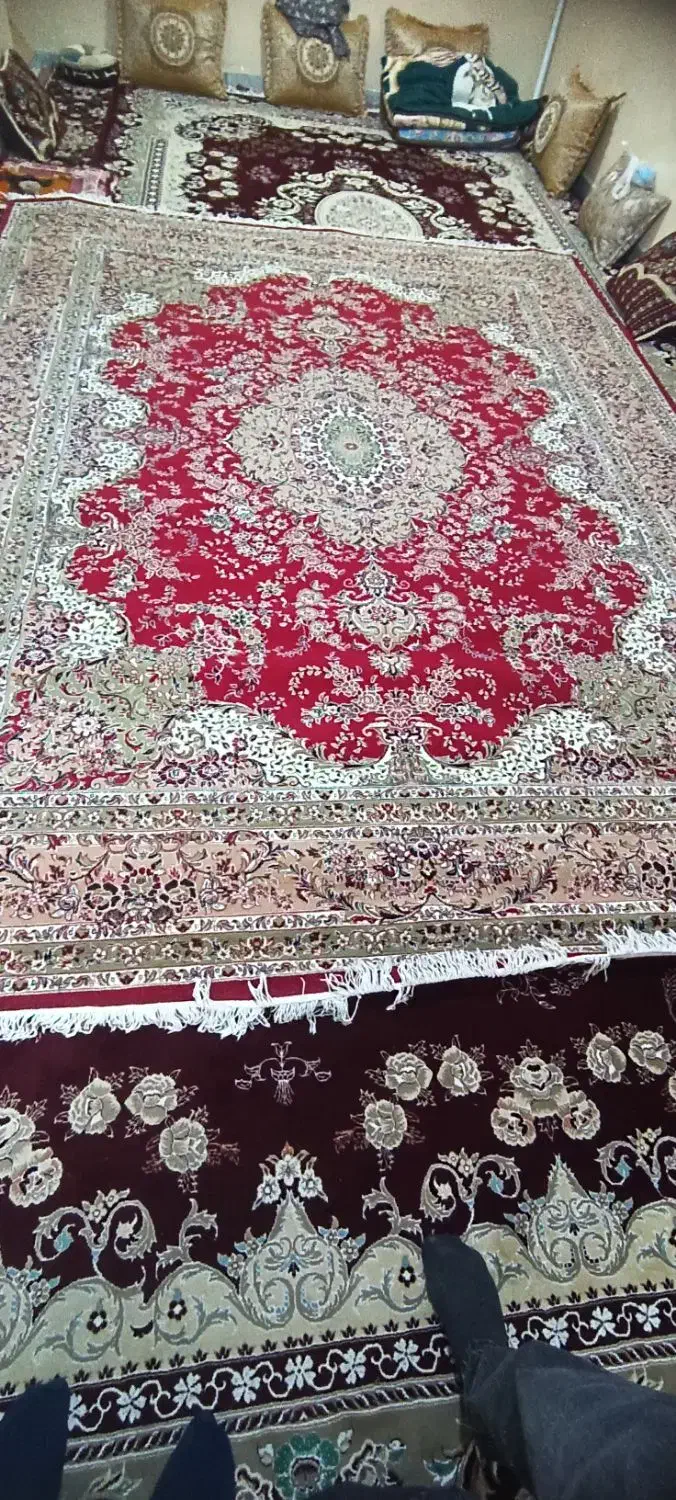 فروش یک عدد فرش 12متری درحد نو وتمیز|فرش|دهدشت, |دیوار