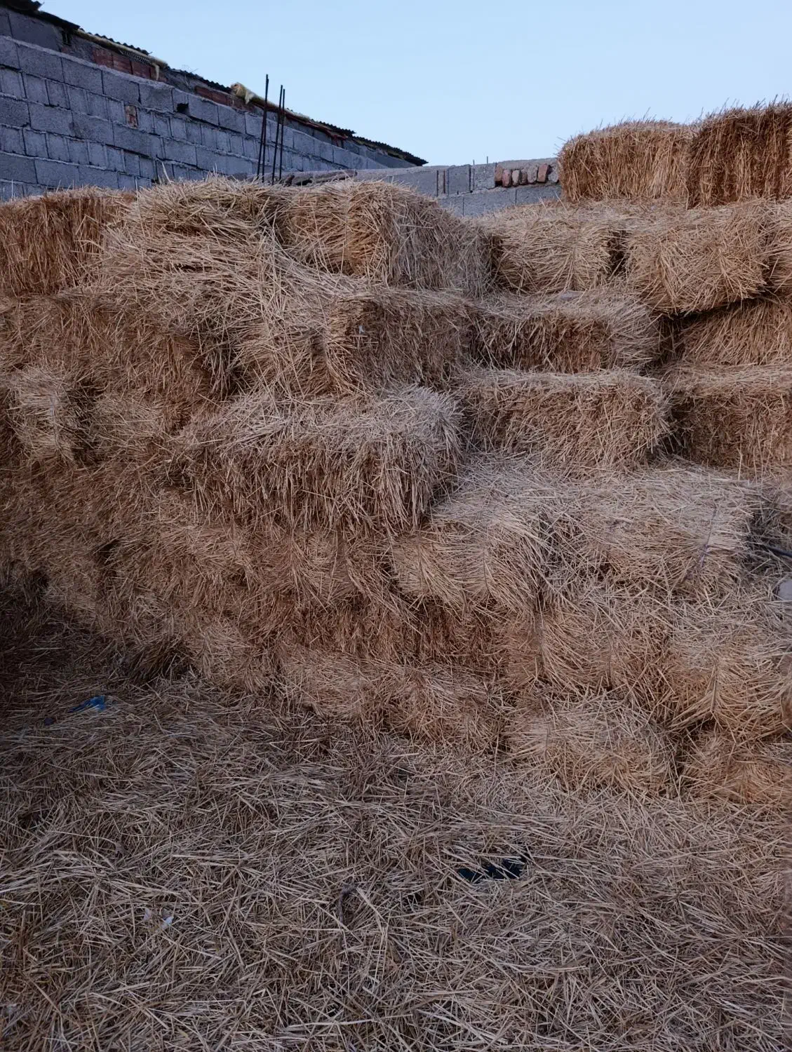 ۱۱۱|لوازم جانبی حیوانات|هیر, |دیوار