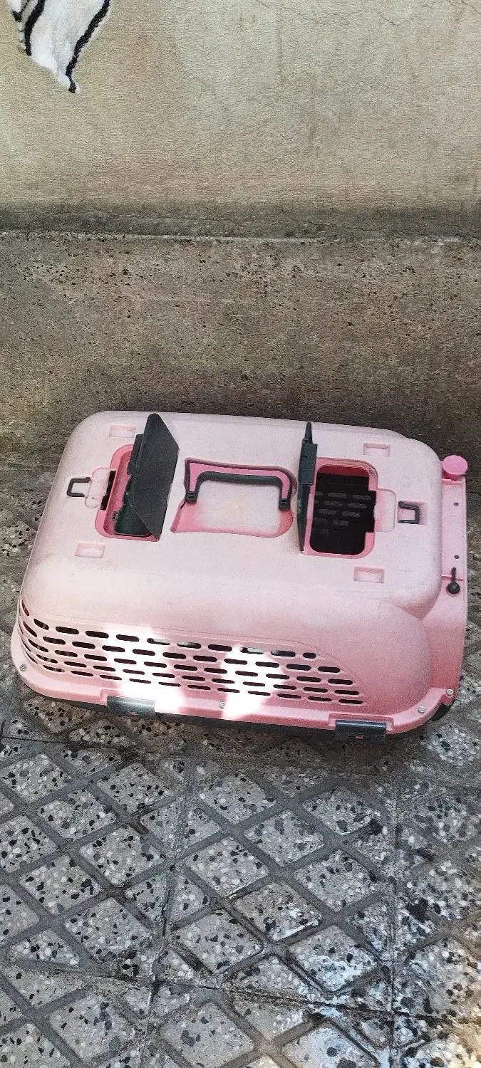 باکس حیوان خانگی|لوازم جانبی حیوانات|تهران, بازار|دیوار