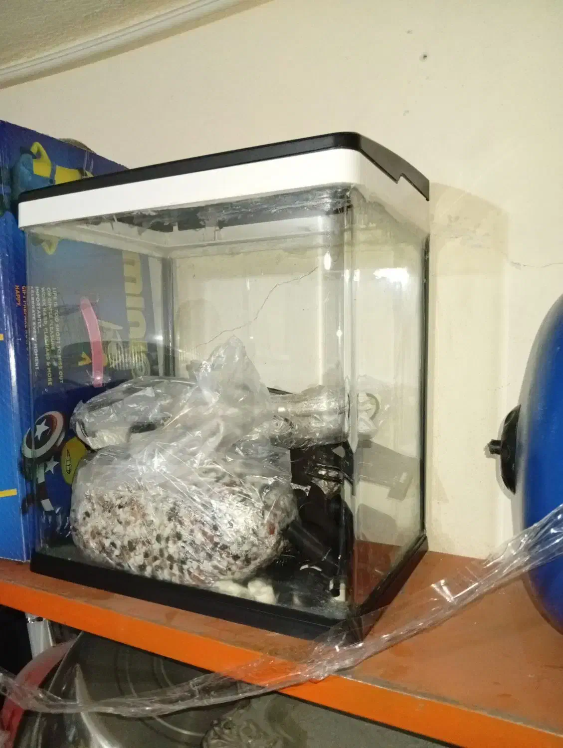 اکواریوم|ماهی|مشکیندشت, |دیوار