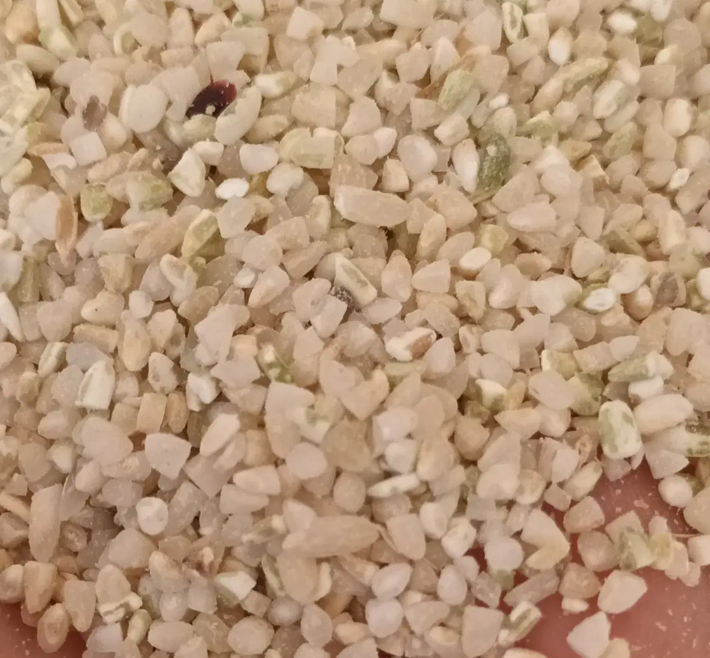 خرده برنج،و نیمدونه|خوردنی و آشامیدنی|فلارد, |دیوار