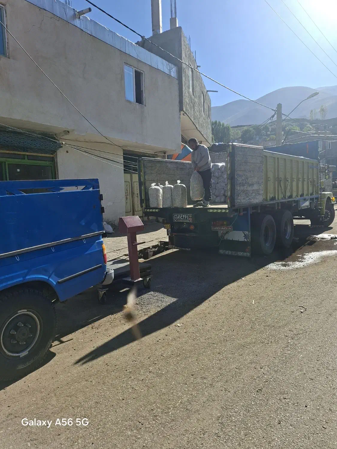 تفاله میاندوآب درجه۱|لوازم جانبی حیوانات|مشگین شهر, |دیوار