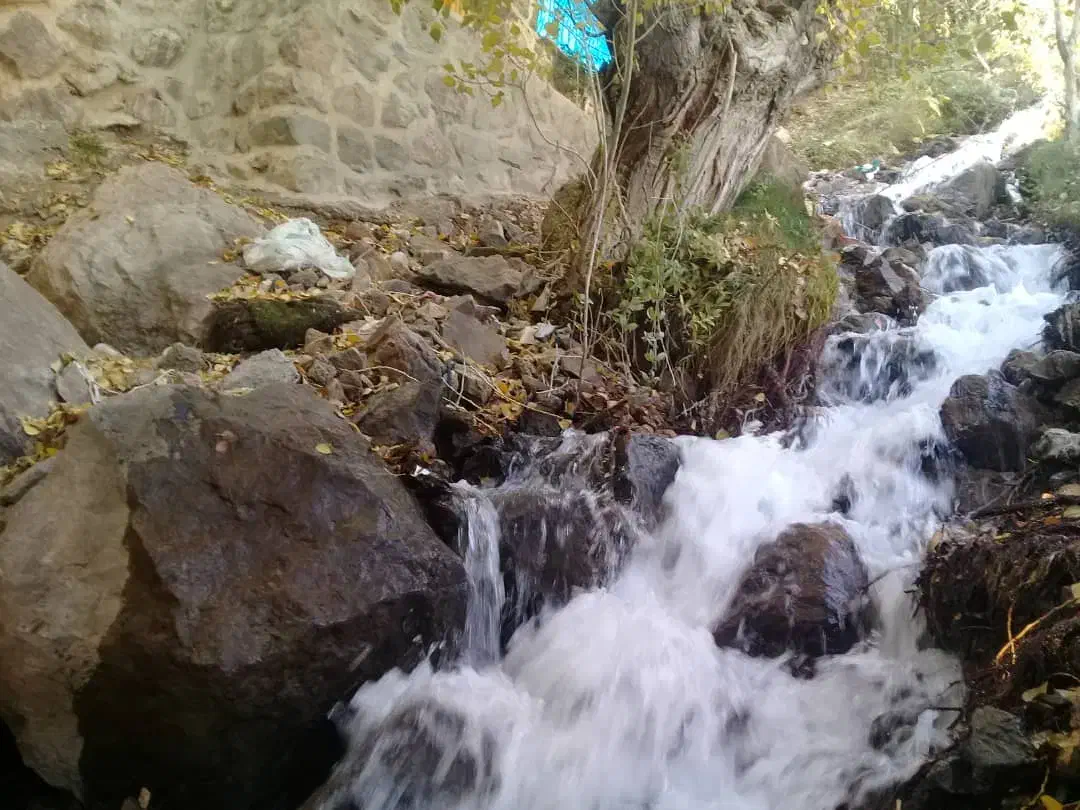 سویت باغ|اجارهٔ کوتاهمدت ویلا و باغ|دماوند, گیلاوند|دیوار