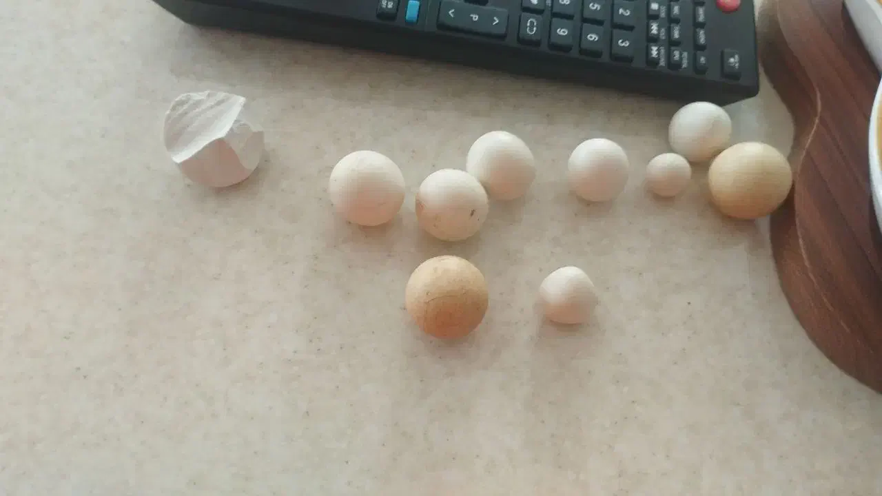 سنگ آسیاب|کلکسیون اشیاء عتیقه|گلبهار, شهر جدید گلبهار|دیوار