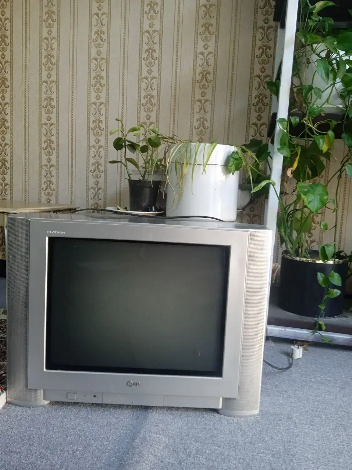 تلویزیون ال جی|تلویزیون و پروژکتور|دوگنبدان, |دیوار