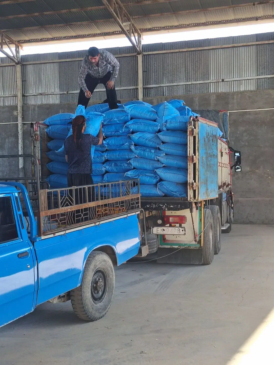 کیسه آبی سفید|خدمات باغبانی و درختکاری|اندیمشک, |دیوار