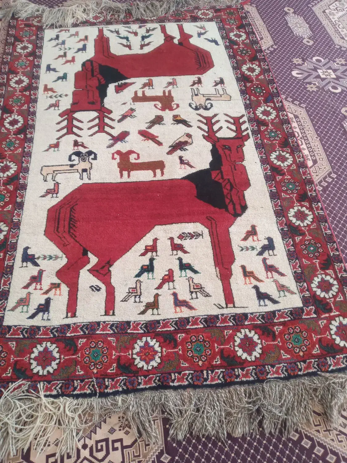 قالیچه دستباف|فرش|شهرضا, |دیوار