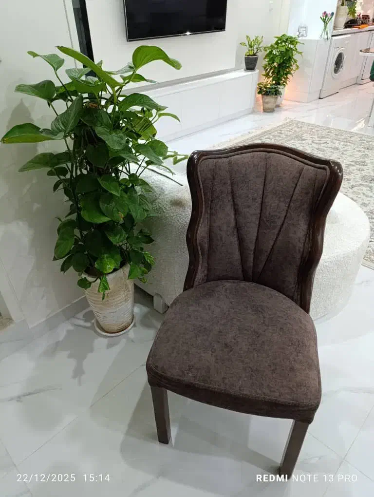 صندلی|صندلی و نیمکت|تهران, آهنگ|دیوار