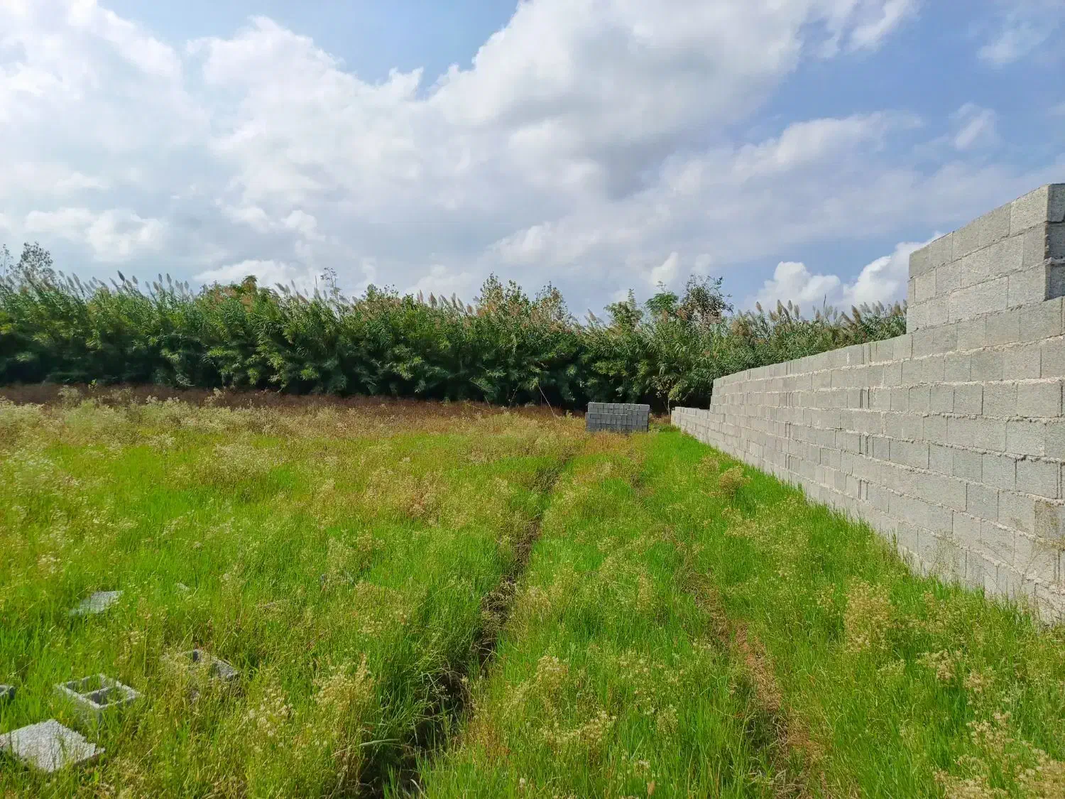 زمین 1450متری مناسب استخر و کلبه سوئیسی|فروش زمین و ملک کلنگی|خمام, |دیوار