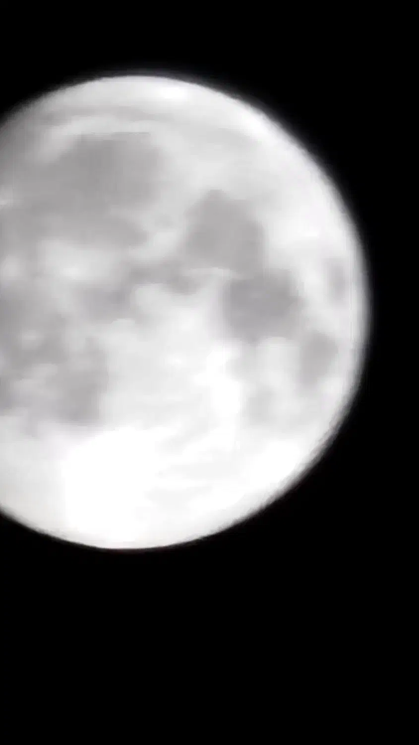 تور زیارتی|تور و چارتر|صابری, |دیوار