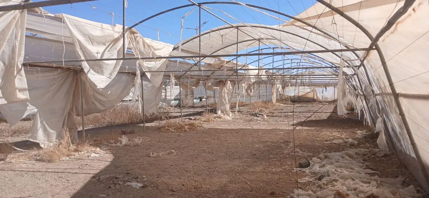 فروش سازه گلخانه|مصالح و تجهیزات ساختمان|مبارکه, |دیوار