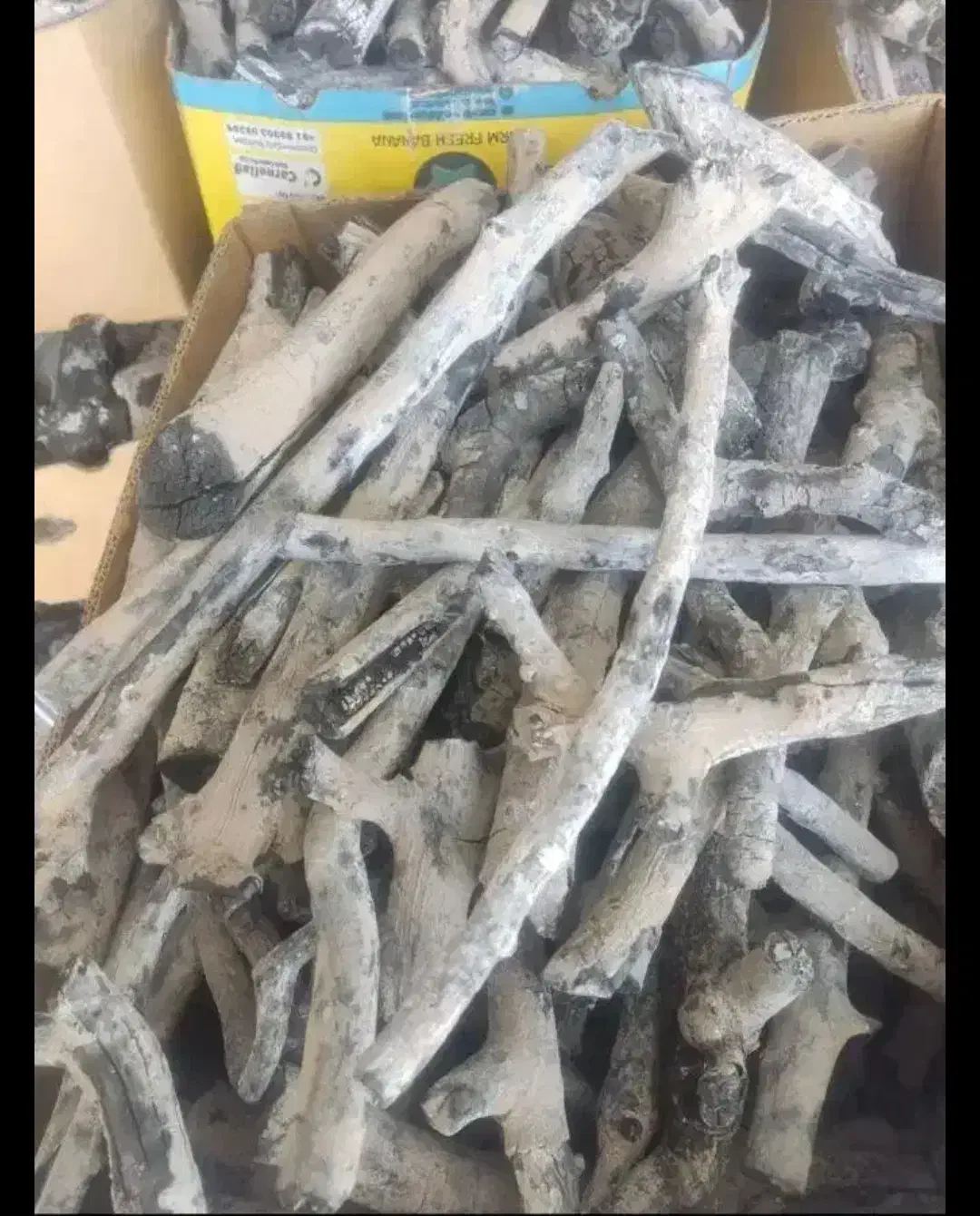 ذغال قلیان|کلکسیون و سرگرمی|مشهد, عامل|دیوار