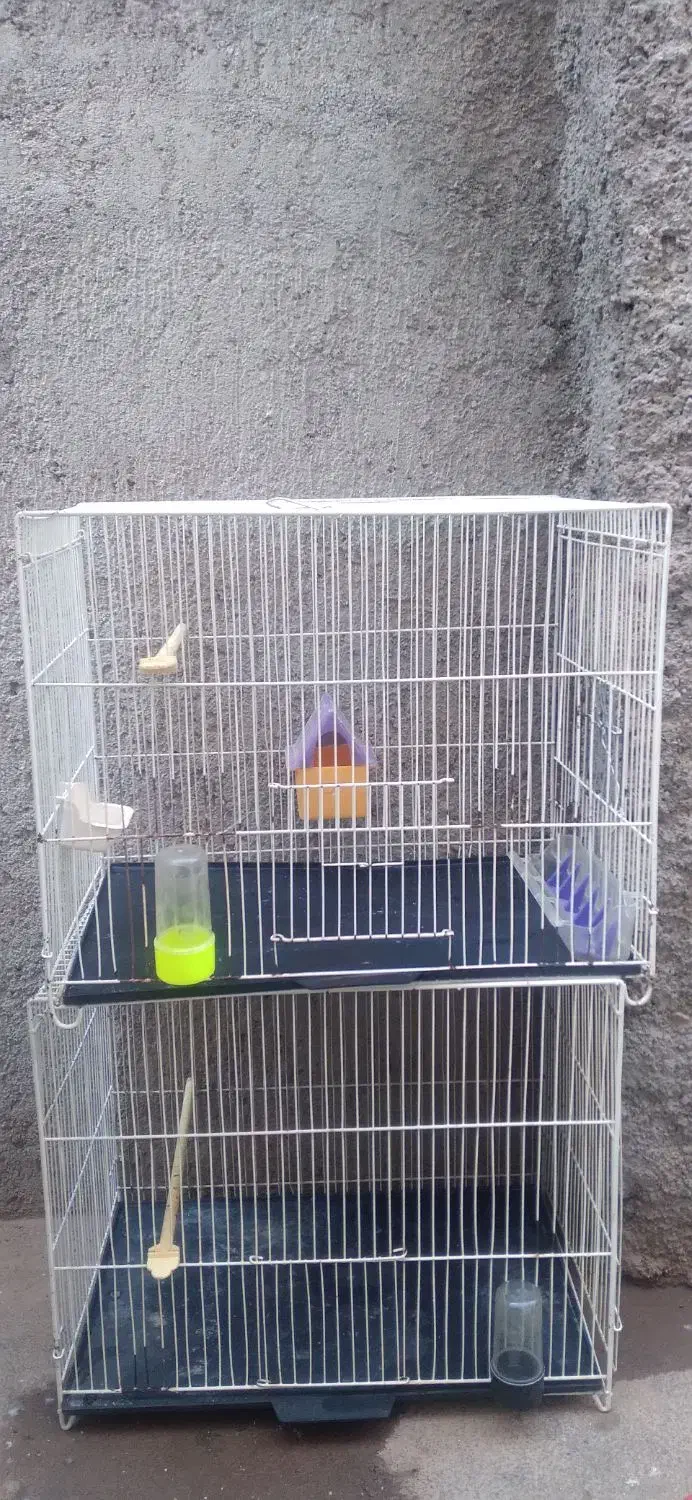 قفس پرنده|لوازم جانبی حیوانات|تربت جام, شهید مدرس|دیوار