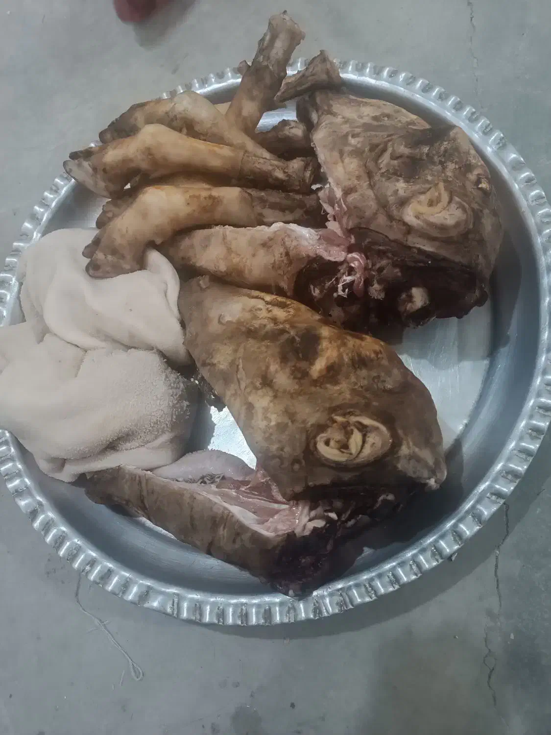 کله پاچه کوه تازه|خوردنی و آشامیدنی|مسجد سلیمان, |دیوار