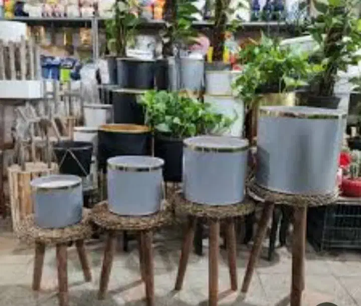 گلدان سرامیکی|گل و گیاه طبیعی|قشم, |دیوار