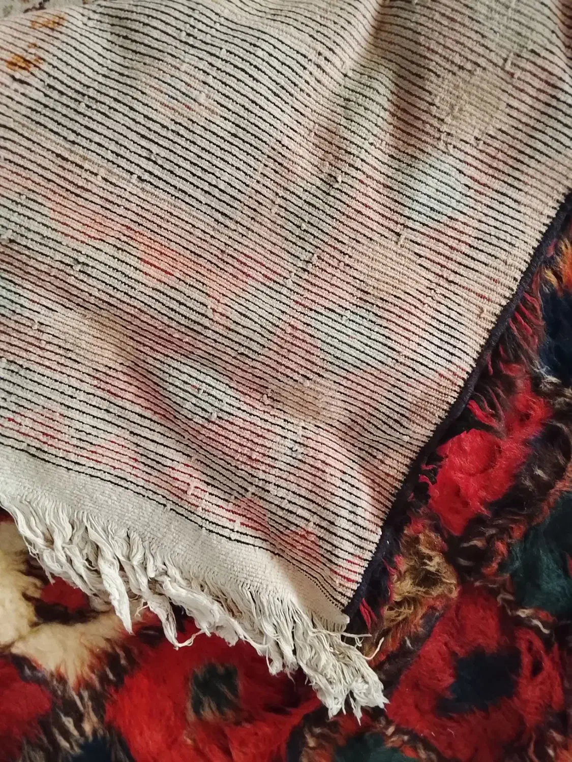 فروش فرش دستباف|فرش|اصفهان, ارزنان|دیوار